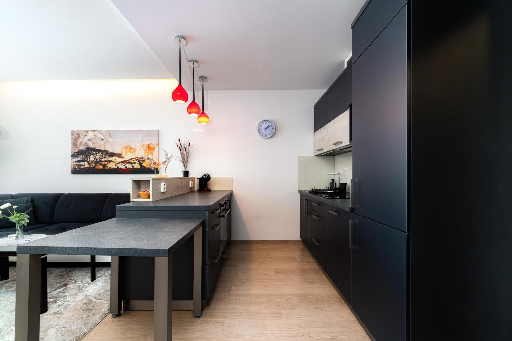 Bnb New Beautiful Apartment In The Center Of Ostrava With Option Garage Parking Zewnętrze zdjęcie
