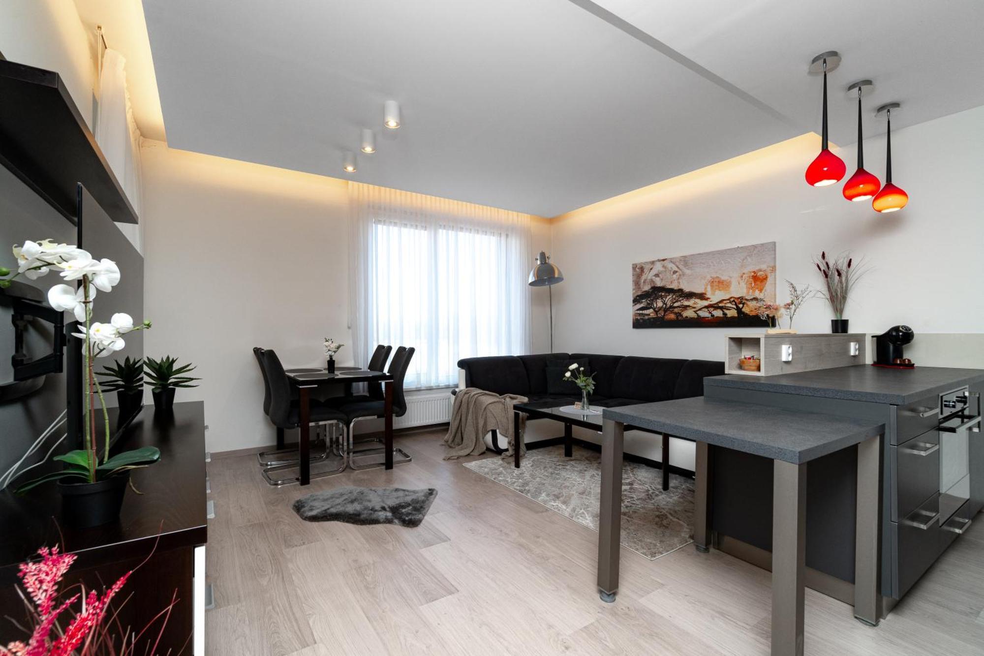Bnb New Beautiful Apartment In The Center Of Ostrava With Option Garage Parking Zewnętrze zdjęcie
